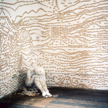 Piel pared galleta, Antiguo Hospital Militar, Performance 120’, 1994, Quito-Ecuador