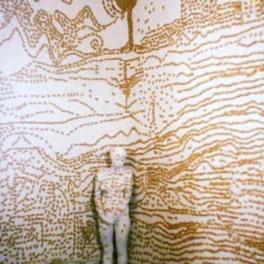 Piel pared galleta, Antiguo Hospital Militar, Performance 120’, 1994, Quito-Ecuador