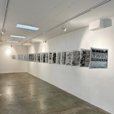 “El desierto crece” | N24 GALERÍA DE ARTE, 2025