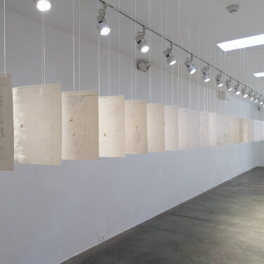“El desierto crece” | N24 GALERÍA DE ARTE, 2025
