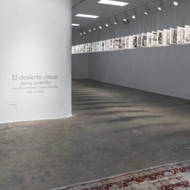 “El desierto crece” | N24 GALERÍA DE ARTE, 2025