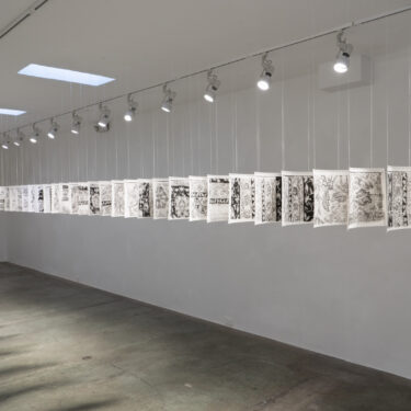 “El desierto crece” | N24 GALERÍA DE ARTE, 2025