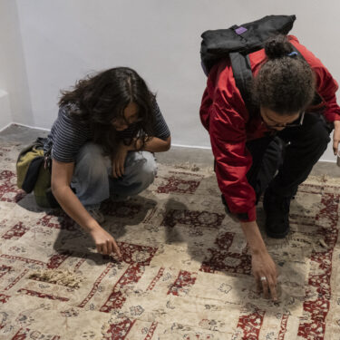 “El desierto crece” | N24 GALERÍA DE ARTE, 2025