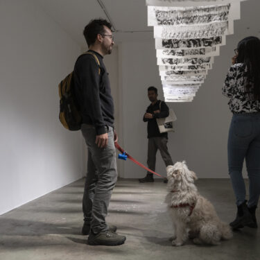 “El desierto crece” | N24 GALERÍA DE ARTE, 2025
