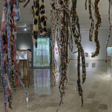 “Gesto y síntoma, reescribiendo lo que se escapa” | Museo de Antropología y Arte Contemporáneo, 2024