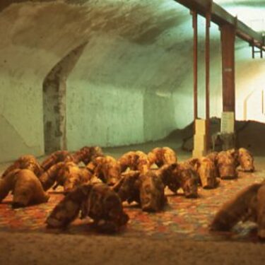 VI Bienal de La Habana Cuba | 1997