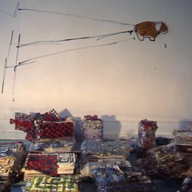 No Fat - Instalación (periódicos, puzzles, botellas, acrílico, óleo) 